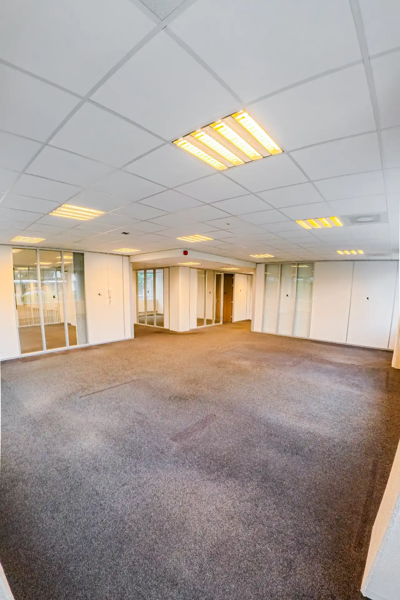 Sloopteam - kantoor Zeist_optimized